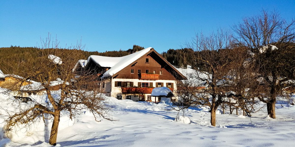 Winterurlaub in Flachau, Garnhof